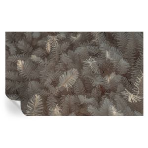 Papel pintado autoadhesivo ramitas escarchadas 416x254 tulup