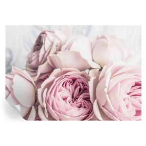 Murales autoadhesivos rosas rosadas 208x146 tulup
