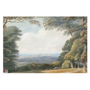 Papel pintado tejido no tejido 250x250 paisaje boscoso tulup