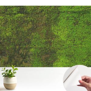 Murales autoadhesivos alfombra verde 250x250 tulup