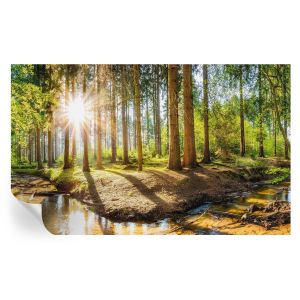 Murales autoadhesivos idilio forestal 416x254 tulup