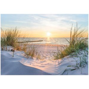 Papel pintado pared 3d playa mar 350x250 fotomurales tnt