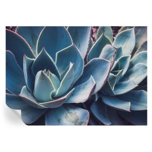 Papel pintado autoadhesivo aloe verde 208x146 tulup
