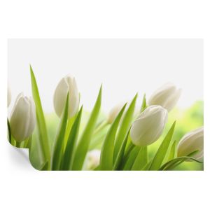 Papel pintado para paredes tulipanes blancos 70x104 tulup