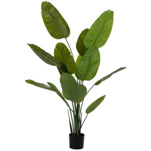 Sterlitzia decorativa artificial verde 80x80x180