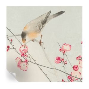 Murales autoadhesivos pájaro flor 250x250 tulup