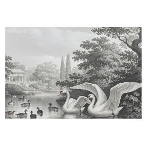 Papel pintado tnt 250x250 la elegancia de la naturaleza tulup