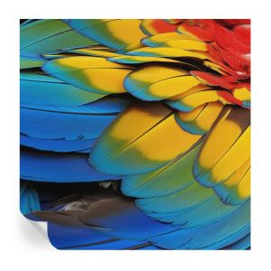 Papel pintado autoadhesivo plumas arcoíris 250x250 tulup