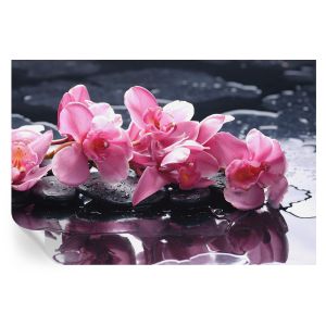 Papel pintado para paredes elegancia floral 70x104 tulup
