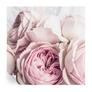 Murales autoadhesivos rosas rosadas 250x250 tulup