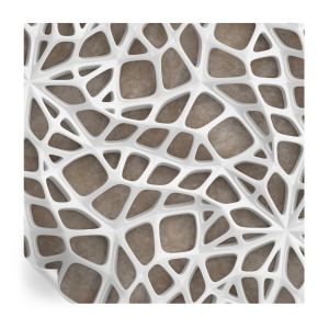 Murales autoadhesivos red de encaje 250x250 tulup
