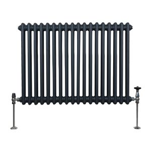 Radiador tradicional horizontal de 2 columnas - 600 x 832 mm - gris