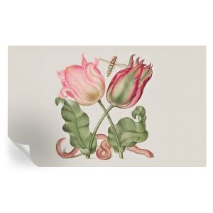 Murales autoadhesivos la belleza del tulipán 416x254 tulup