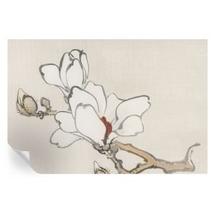 Murales autoadhesivos magnolias delicadas 104x152 tulup