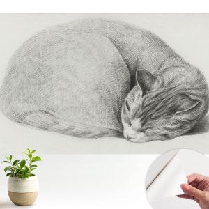 Murales autoadhesivos gato acurrucado 250x250 tulup