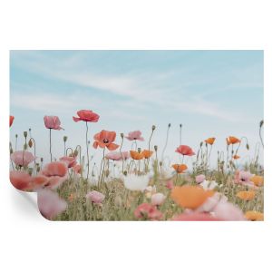 Murales autoadhesivos flores de amapola 104x152 tulup