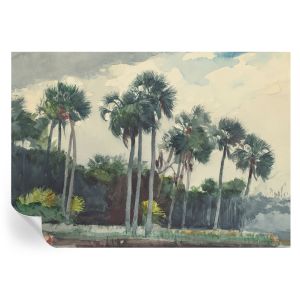 Murales autoadhesivos palmeras exóticas 208x146 tulup