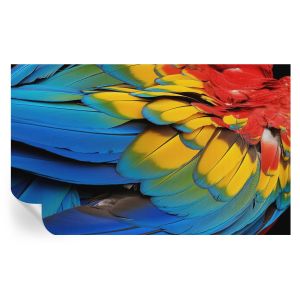 Papel pintado autoadhesivo plumas arcoíris 416x254 tulup