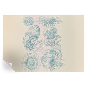 Murales autoadhesivos medusas marinas 208x146 tulup