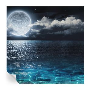 Murales autoadhesivos mar nocturno 250x250 tulup