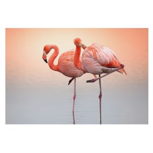 Papel pintado tejido no tejido 250x250 delicados flamencos tulup