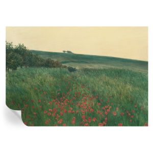 Papel pintado autoadhesivo campos de amapolas 208x146 tulup