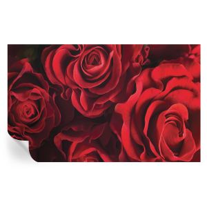 Murales autoadhesivos rosas rojas 416x254 tulup