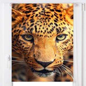 Estoralis | estor enrollable personalizado a-122 85x150 multicolor