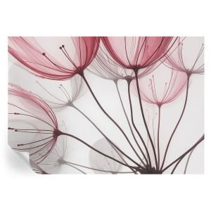 Murales autoadhesivos siluetas florales 208x146 tulup