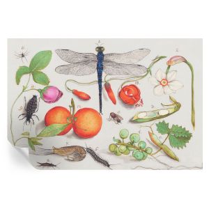 Papel pintado para paredes ilustración de la naturaleza 104x152 tulup