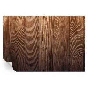 Murales autoadhesivos anillos de madera 104x152 tulup
