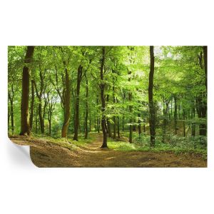 Papel pintado autoadhesivo sendero natural 416x254 tulup