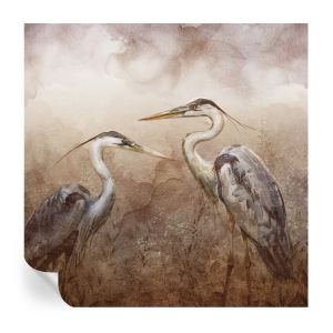 Murales autoadhesivos aves elegantes 250x250 tulup