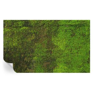 Murales autoadhesivos alfombra verde 416x254 tulup