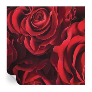 Murales autoadhesivos rosas rojas 250x250 tulup