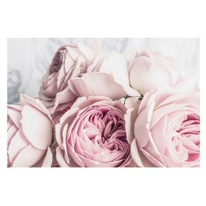 Papel pintado para paredes 312x219 rosas rosadas tulup