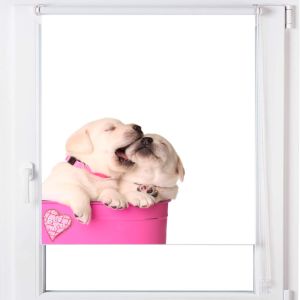 Estoralis | estor enrollable personalizado a-196 105x150 multicolor