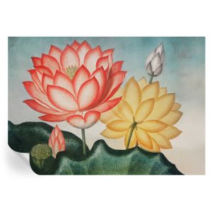 Murales autoadhesivos flores de loto 208x146 tulup