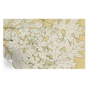 Murales autoadhesivos hojas de árbol 416x254 tulup