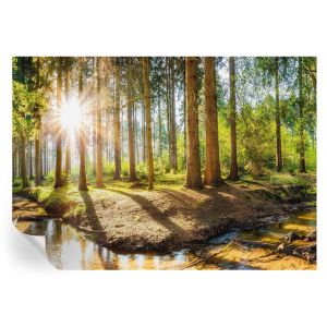 Murales autoadhesivos idilio forestal 208x146 tulup