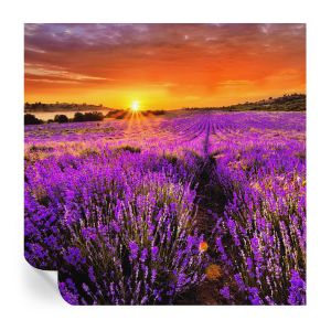 Murales autoadhesivos atardecer lavanda 250x250 tulup
