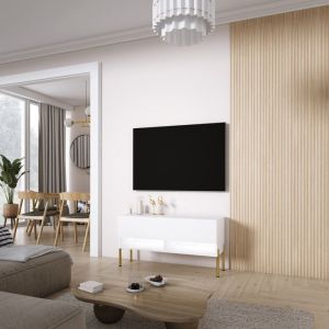 Mueble tv moderno - blanco mate - 100x32x52 cm