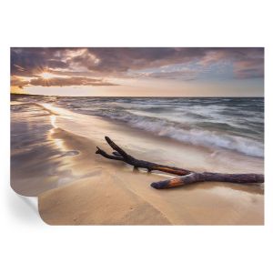 Murales autoadhesivos playa oeste 208x146 tulup