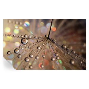Papel pintado autoadhesivo gotas de perlas 416x254 tulup