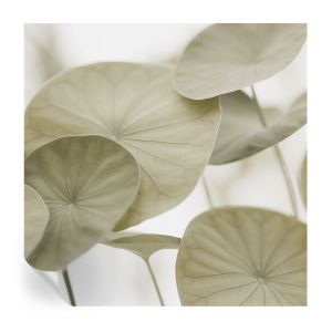 Papel pintado autoadhesivo elegancia natural 250x250 tulup