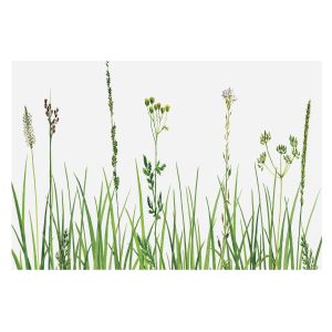 Papel pintado tnt 250x250 flora sutil tulup