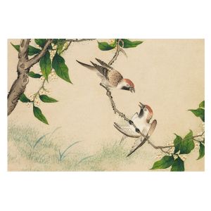 Papel pintado tnt 312x219 dúo clásico tulup