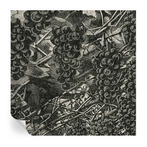 Papel pintado autoadhesivo estampado de uva 250x250 tulup