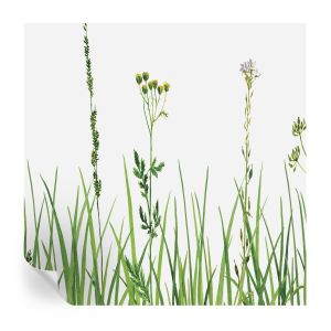 Murales autoadhesivos flora sutil 250x250 tulup