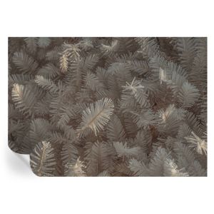Papel pintado autoadhesivo ramitas escarchadas 208x146 tulup